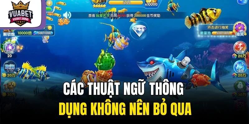 Các thuật ngữ thông dụng không nên bỏ qua