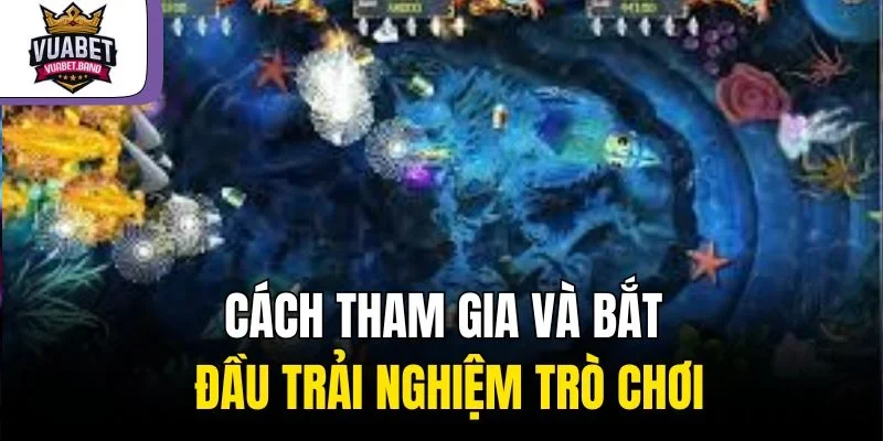 Kỹ năng và kinh nghiệm săn cá ăn tiền hiệu quả nhất