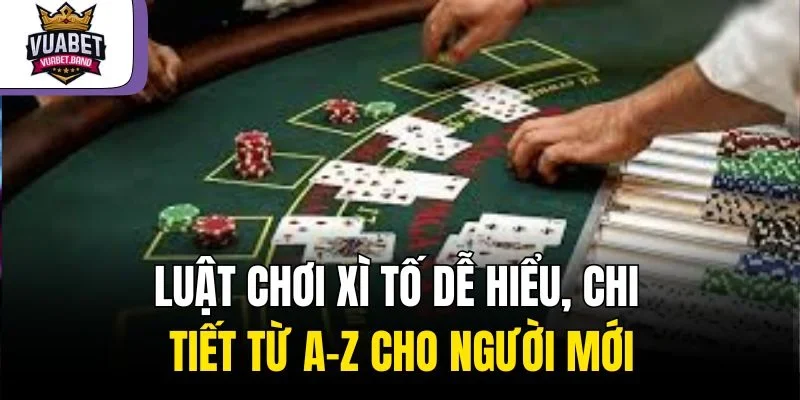 Luật Chơi Xì Tố Dễ Hiểu, Chi Tiết Từ A-Z Cho Người Mới