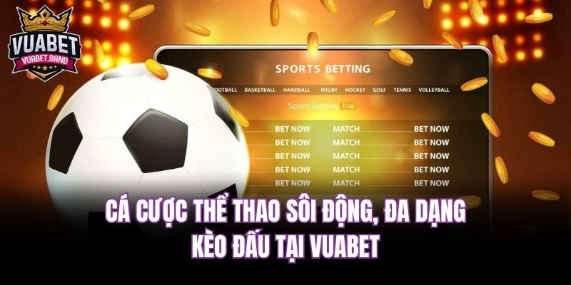 Cá cược thể thao sôi động, đa dạng kèo đấu tại Vuabet